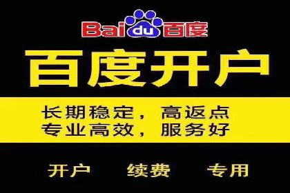 百度SEM竞价策略解析：成功案例分享